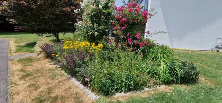 Garten Neugestalten - Impressionen unserer Arbeit